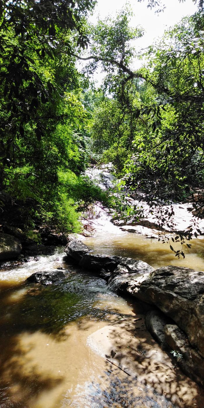 Green and nature eveywhere_ Mae Sa Waterfall