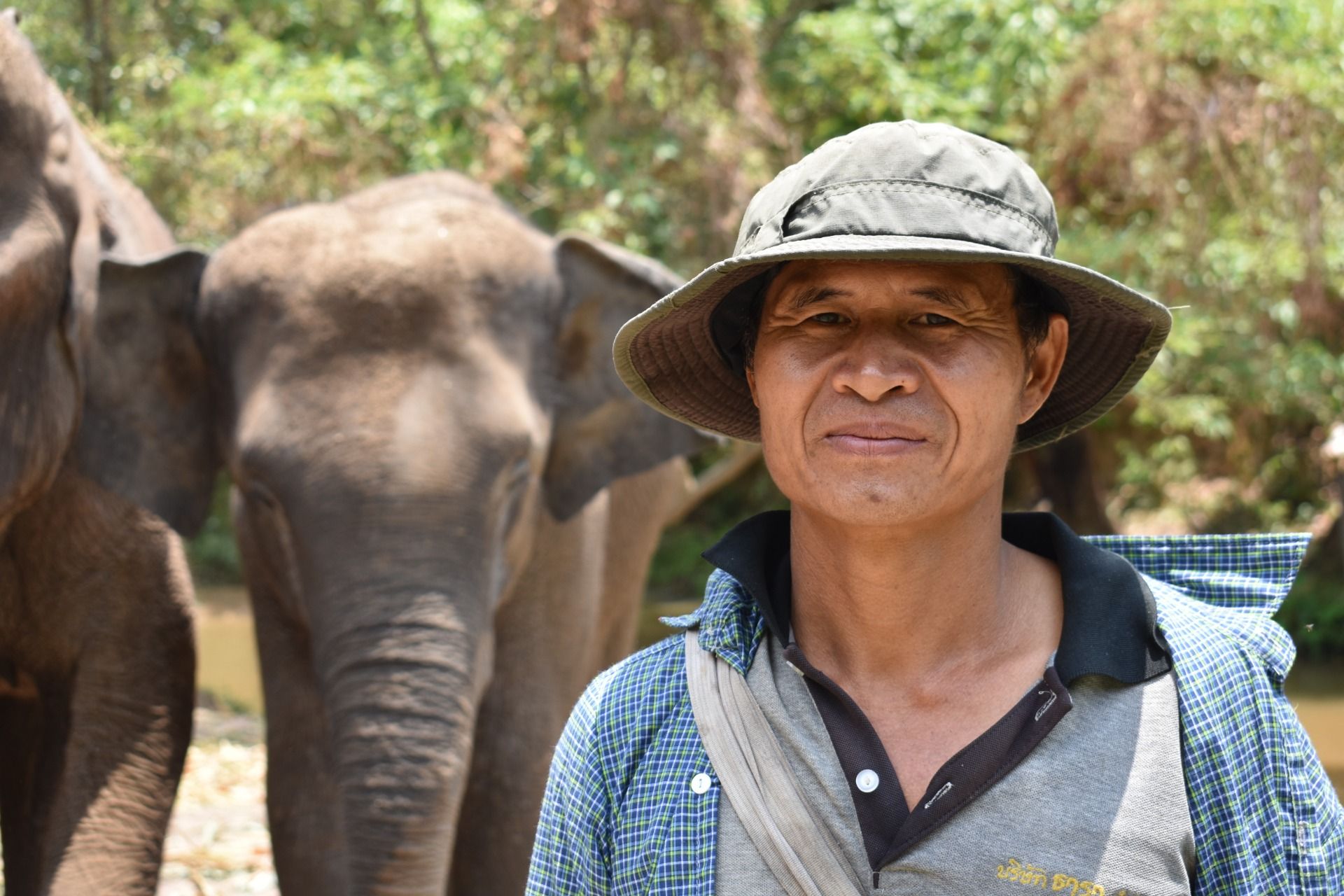 In the land of elephants