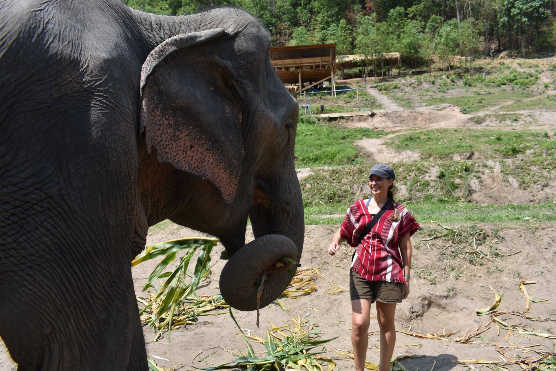 Me, contemplating this huge beautiful animal 