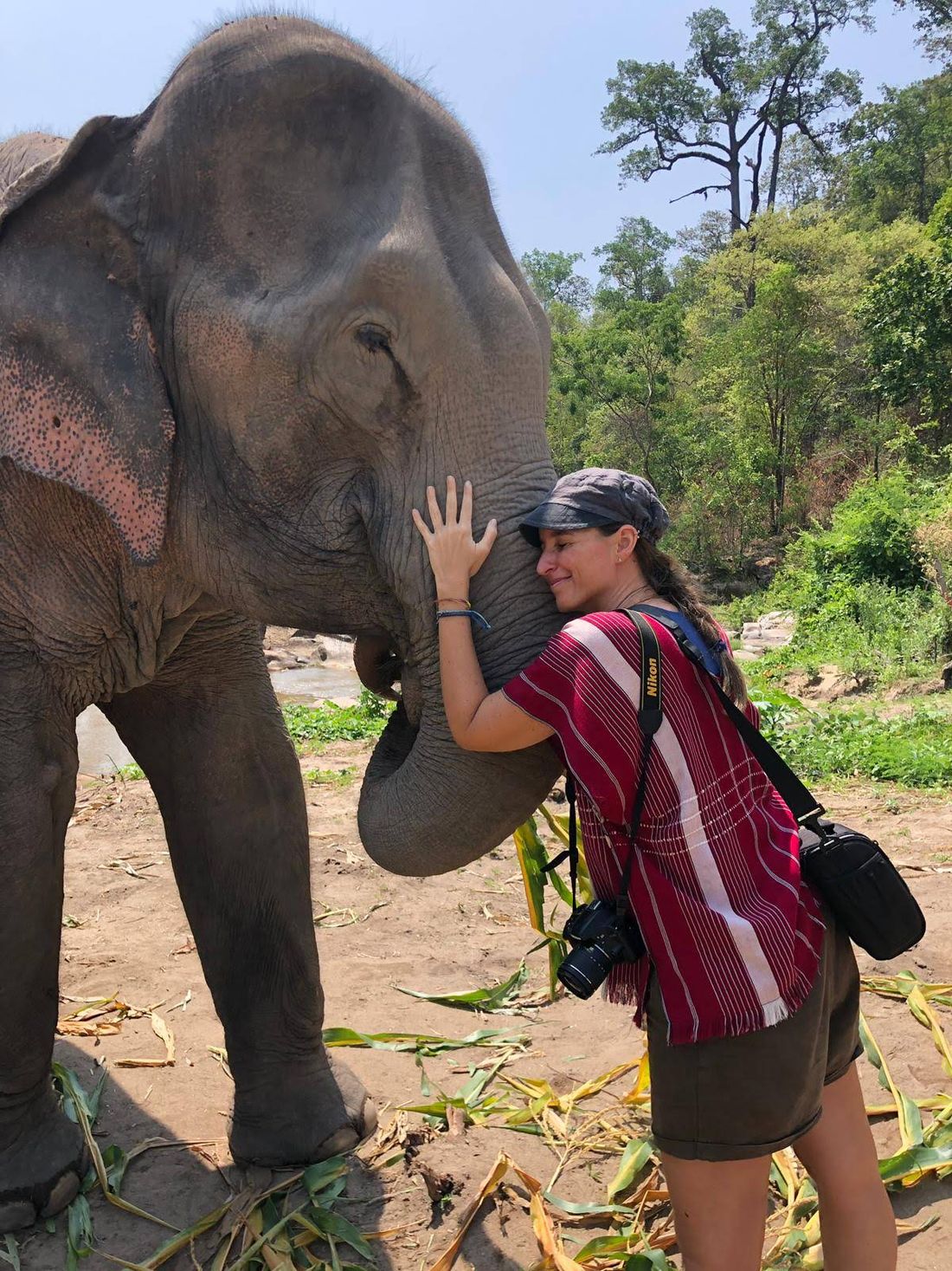 Absolutely in love with elephants 