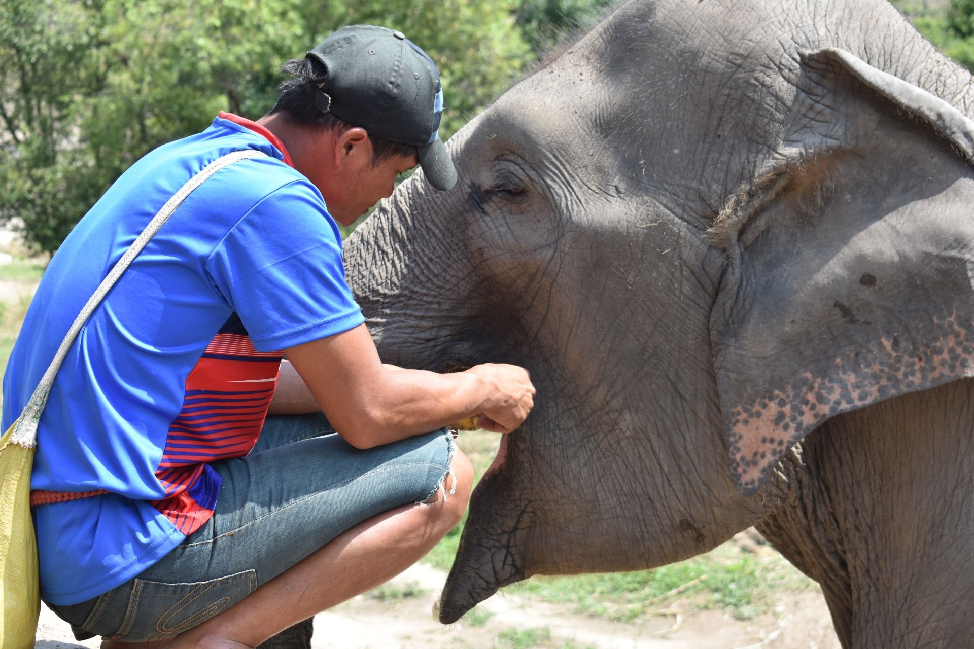 Locals and elephants 