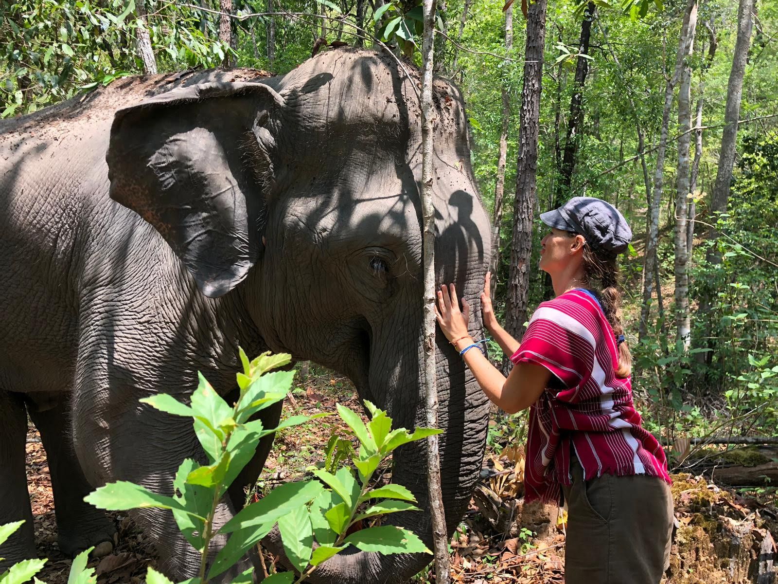 Absolutely in love with elephants!