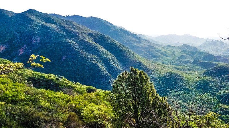 Hiking in Margalla Hills