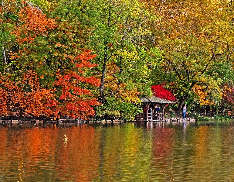 Central Park ,NYC