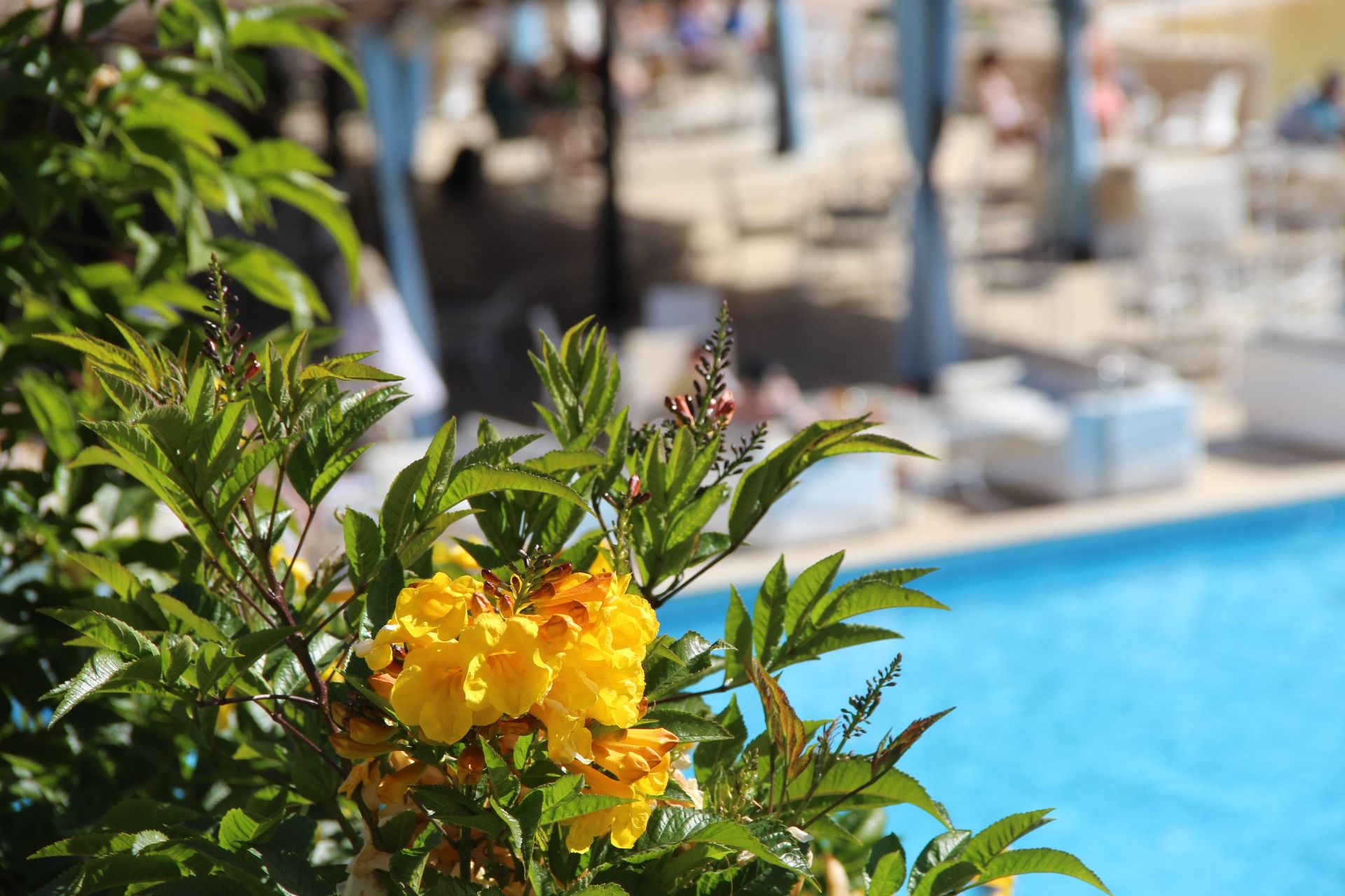 JAZ Aquamarine Resort: Hurghada, Egypt