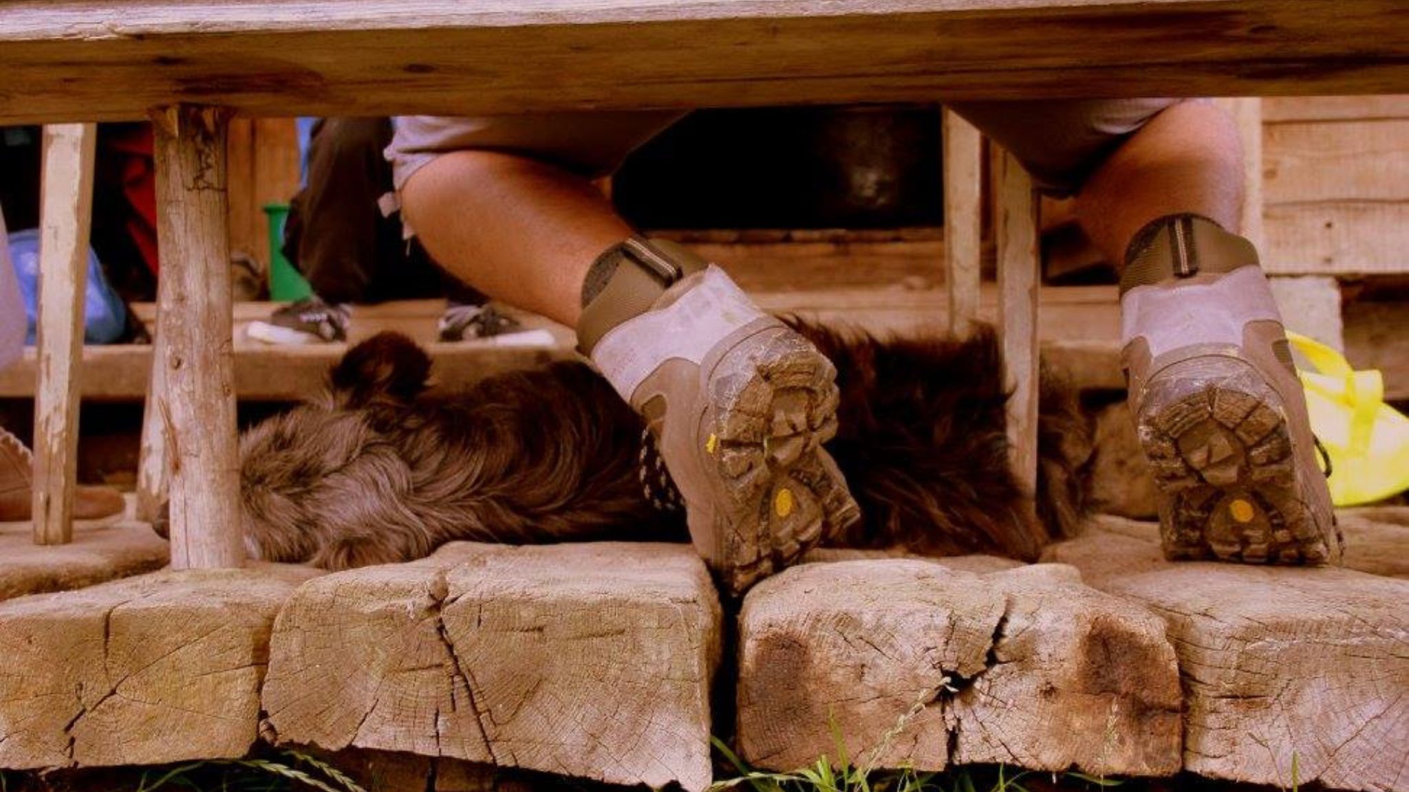 As the host and guests savored delicious curds, the dog took a rest