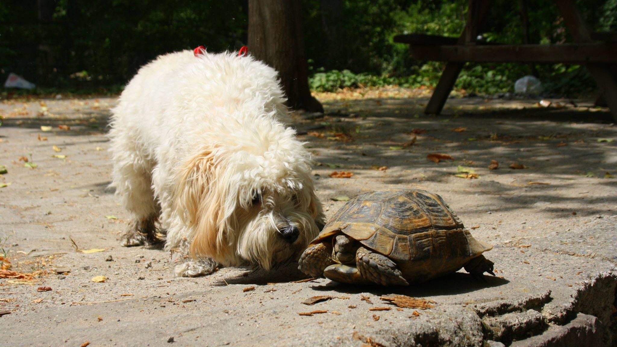 A moment captured during our journey through Turkey