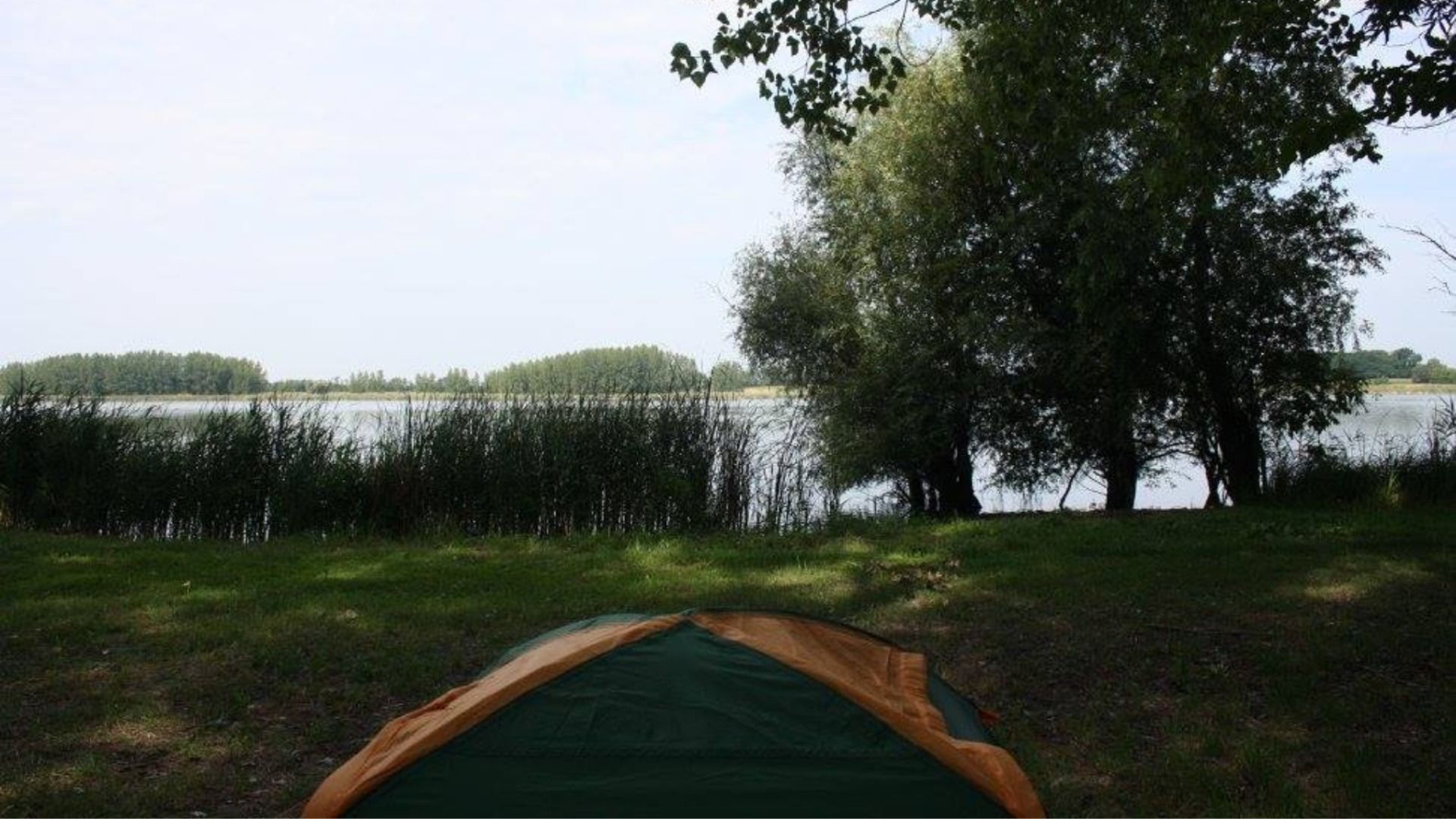 ”Good morning Hungary”