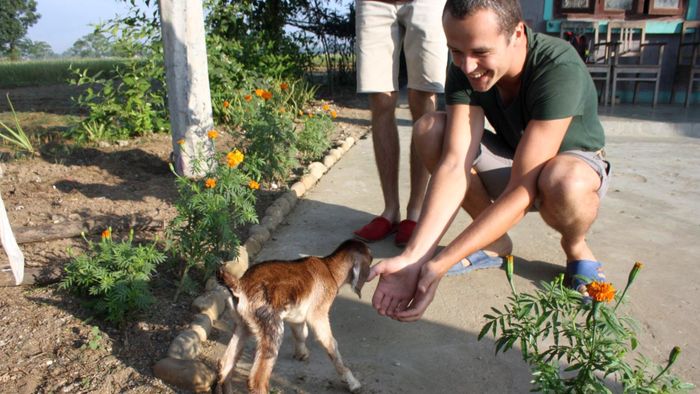 We named them David, Demian and Darius [3/3]