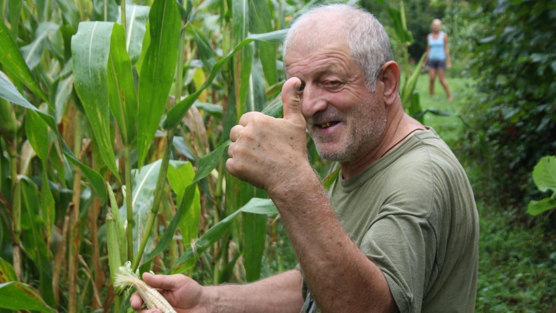 For dinner: corn, zucchini, and pumpkin grown by the farmer himself