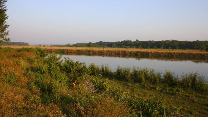 Chitwan National Park [3/3]