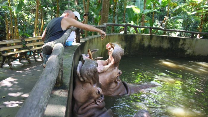 Chiang Mai Zoo [1/3]