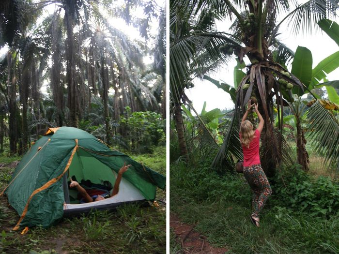 Camping in Malaysia [1/2]