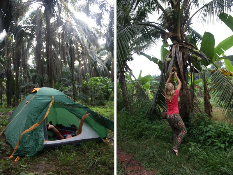 Camping in Malaysia [1/2]