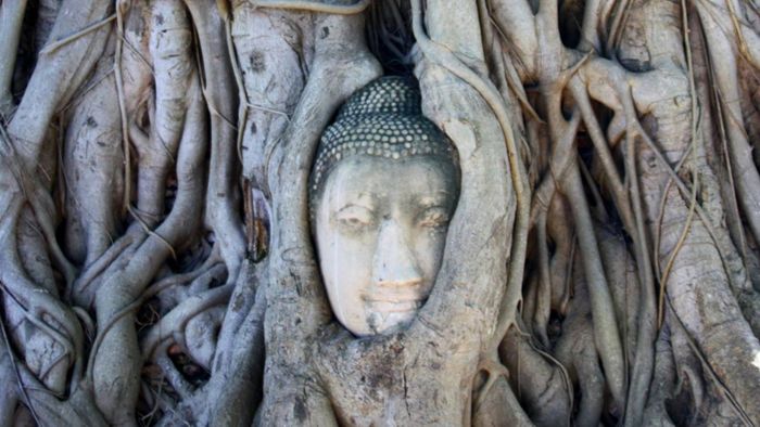Wat Maha That Temple [1/3]