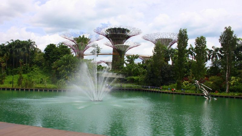 Gardens by the Bay [3/3]