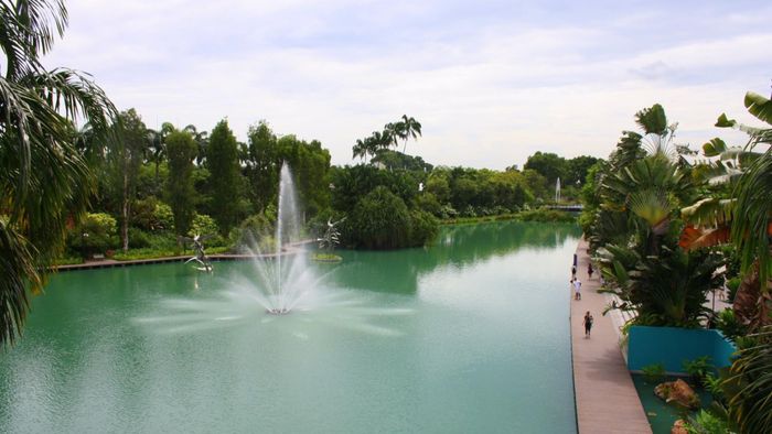 Gardens by the Bay [2/3]