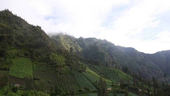 Hiking to the Mount Bromo Viewpoint [1/2]