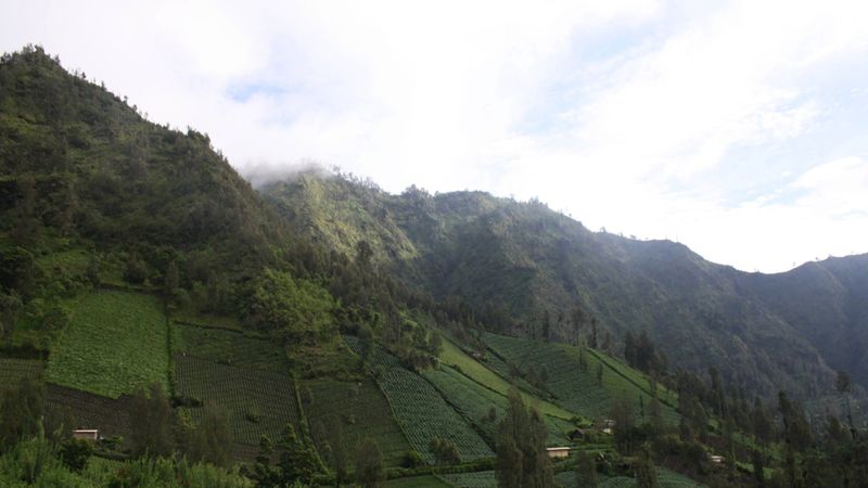 Hiking to the Mount Bromo Viewpoint [1/2]