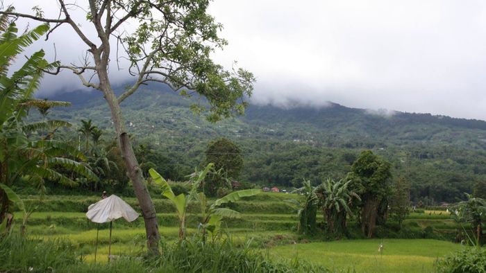 Hitchhiking in Sumatra