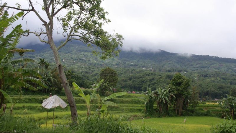 Hitchhiking in Sumatra