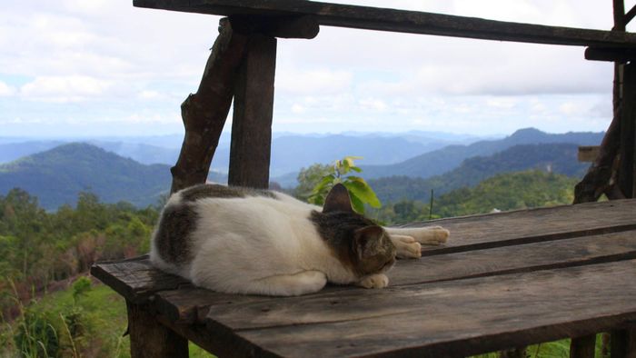 Hithhiking in West Sumatra [1/2]