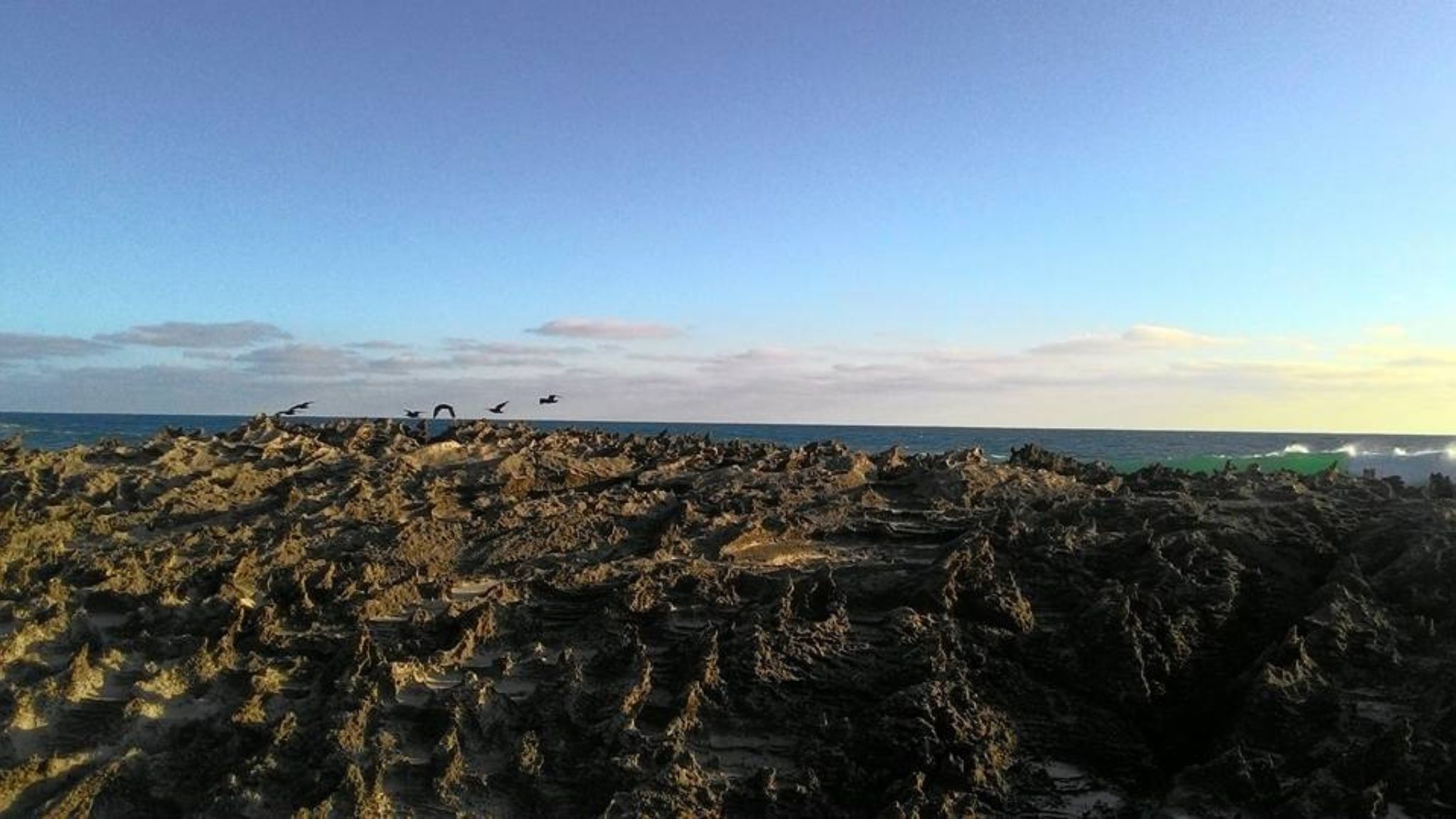 Western Australia [5/5]