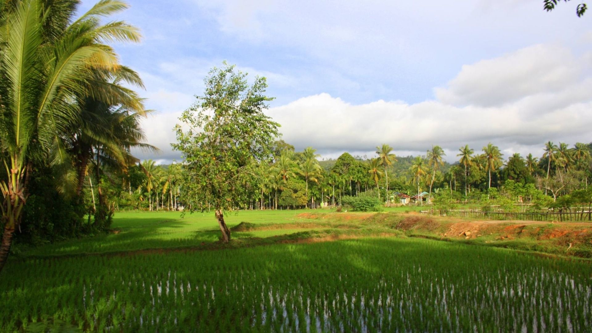 Bali island, Indonesia