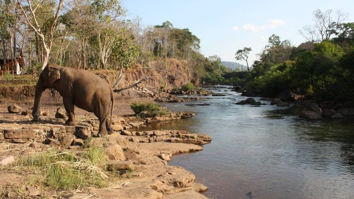 Bolaven Plateau [2/2]
