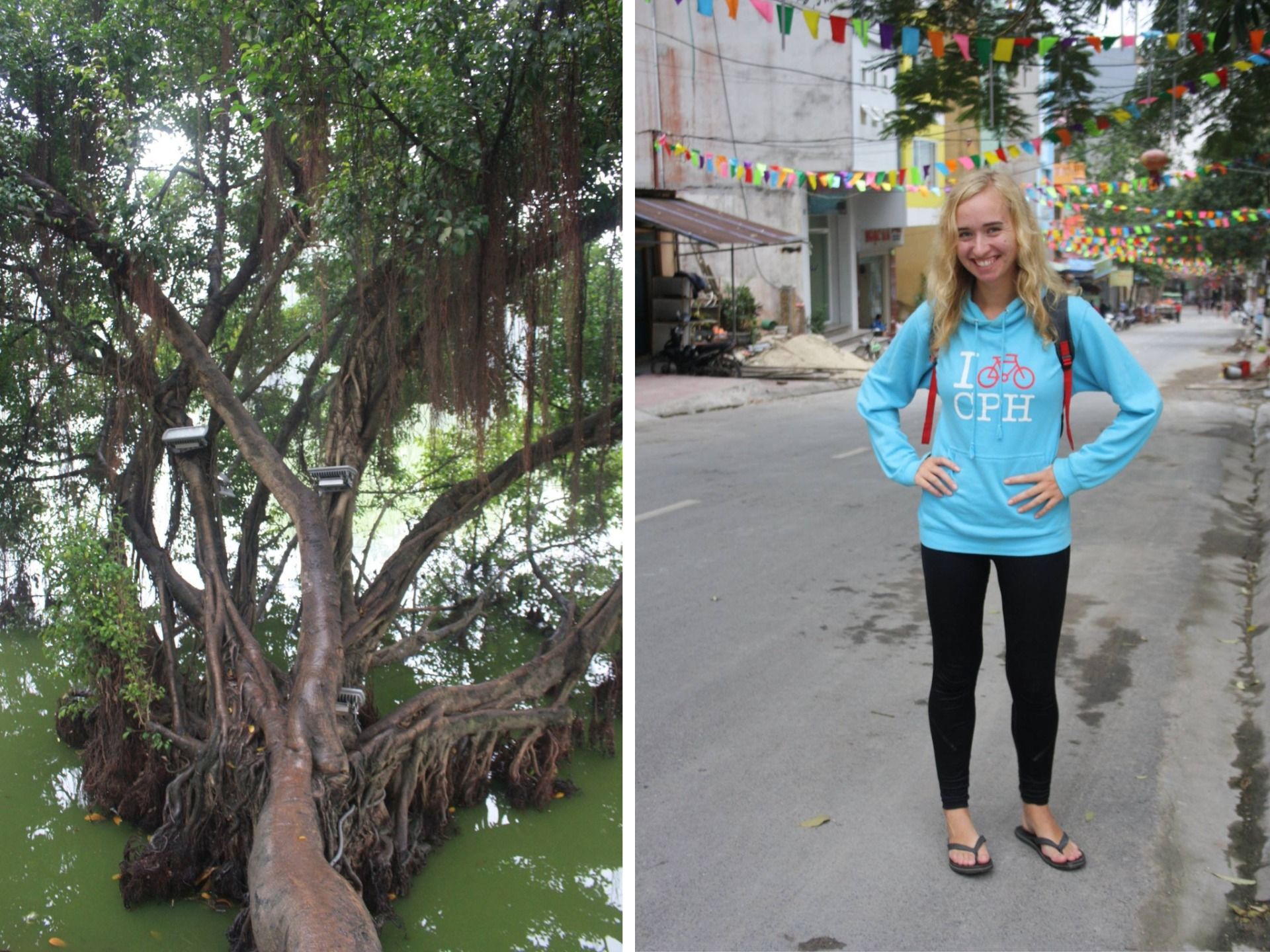 An old tree seems to be pushing deep into the lake. Kamilė Jokšaitė Šlevienė
