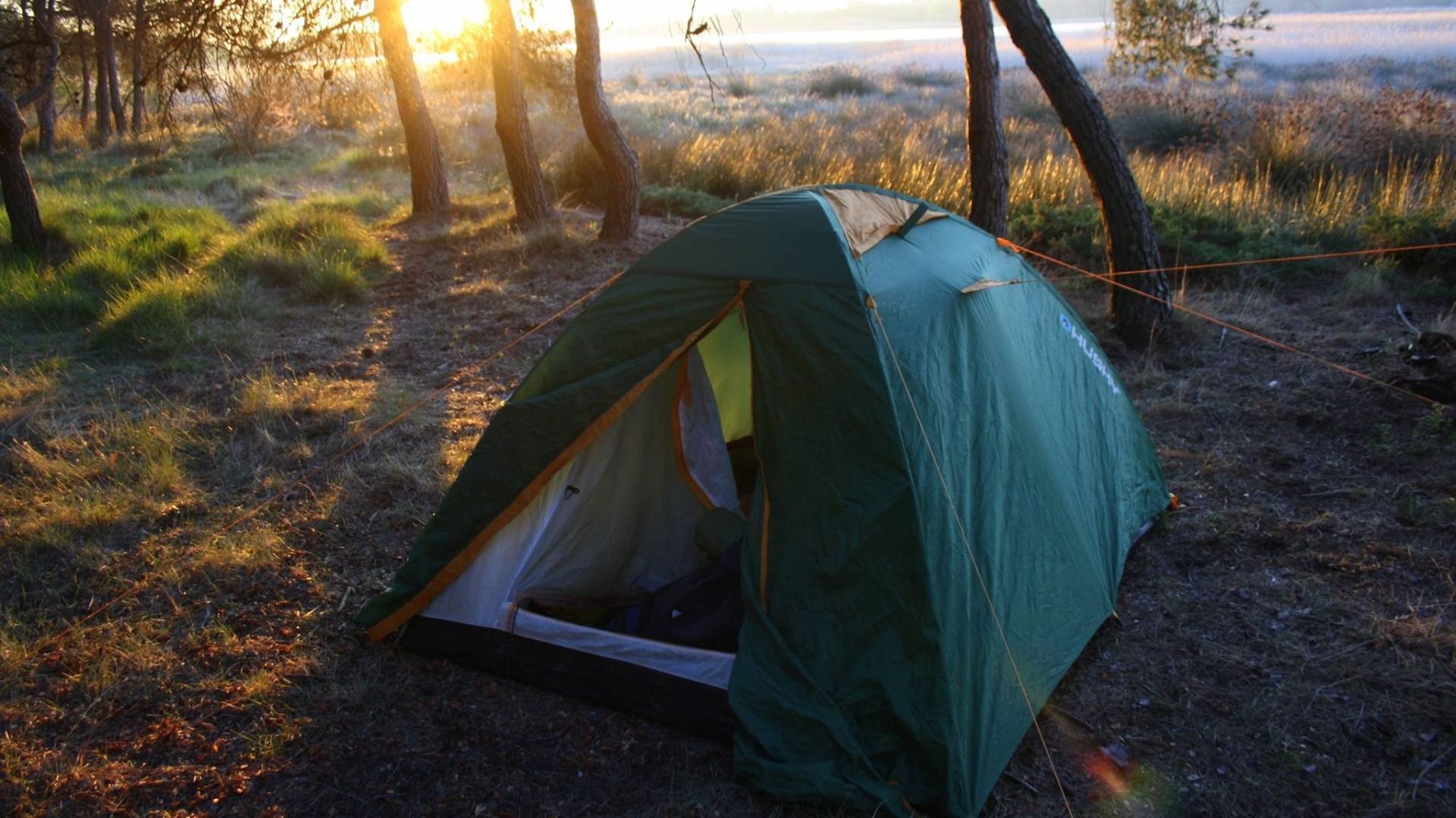 The Way of St. James