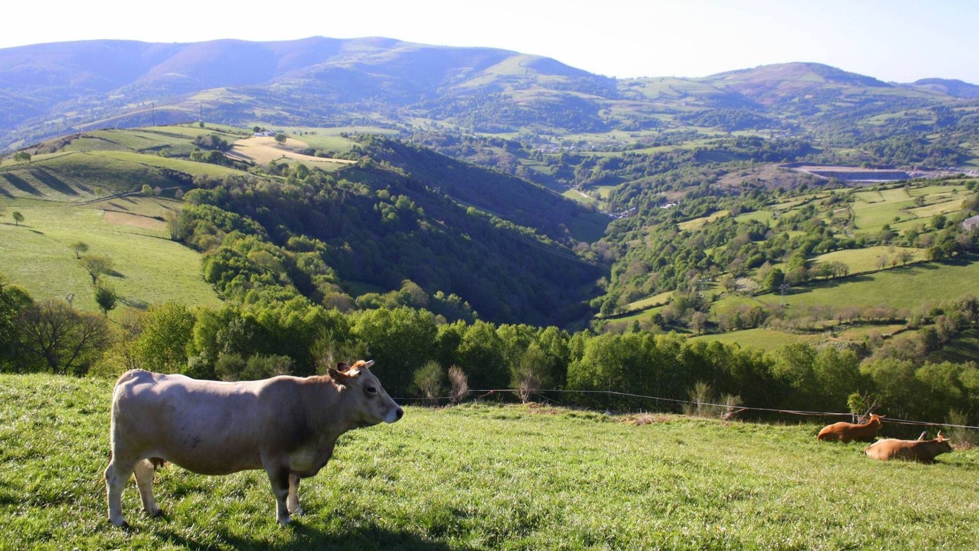 Nature in Spain is very diverse