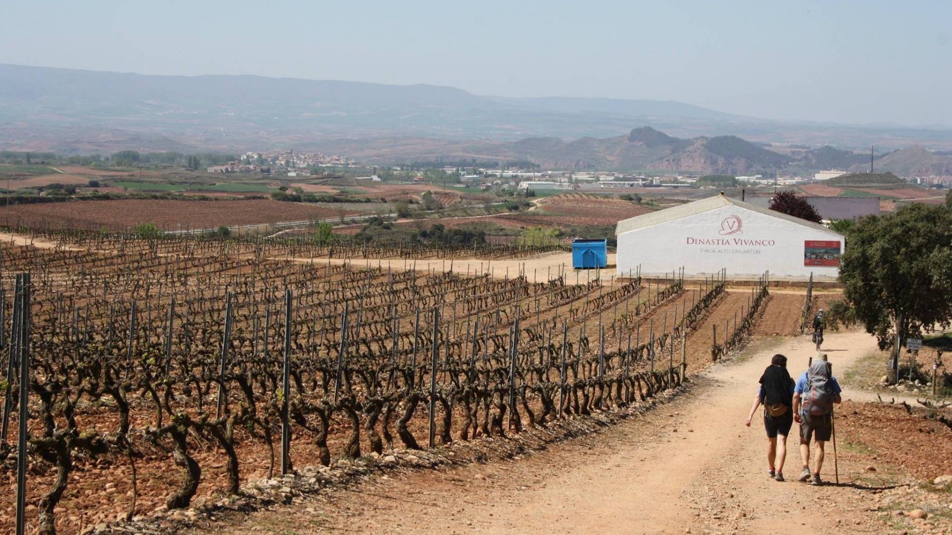 It’s no secret that Spain has plenty of vineyards
