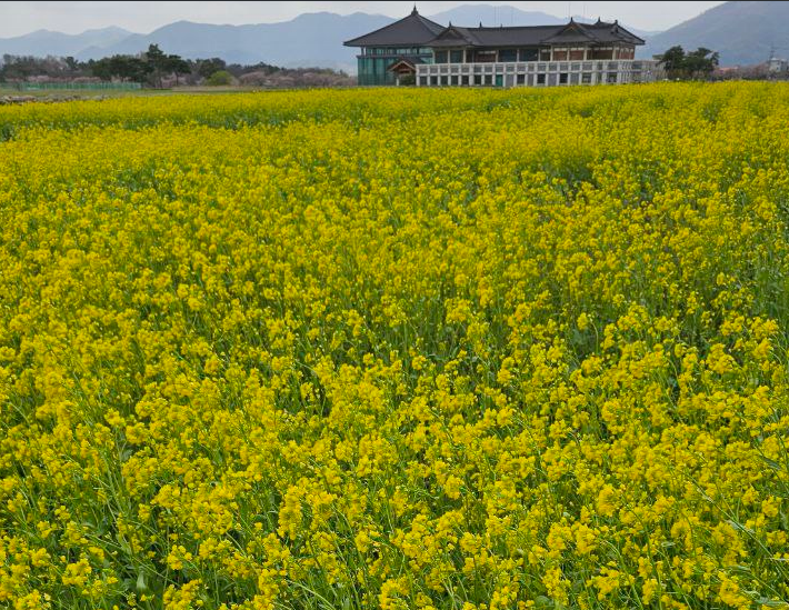 Summer in Korea. What should you know