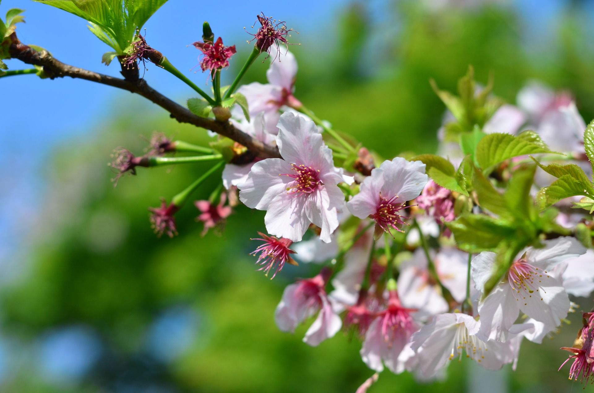 Travel Advice - Weekly Round-Up #321