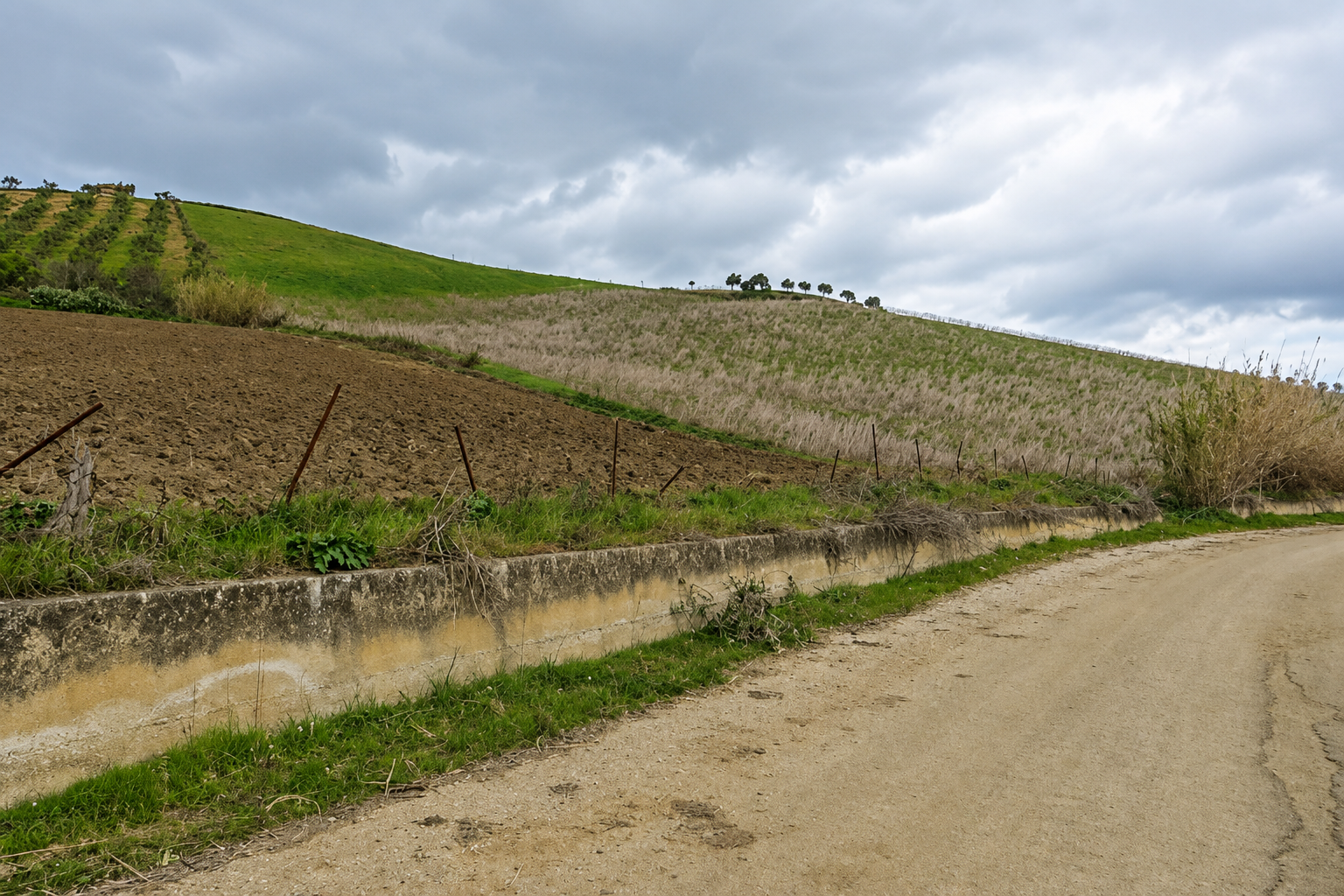 Driving had become an exercise in selecting the least destructive route through the holes.