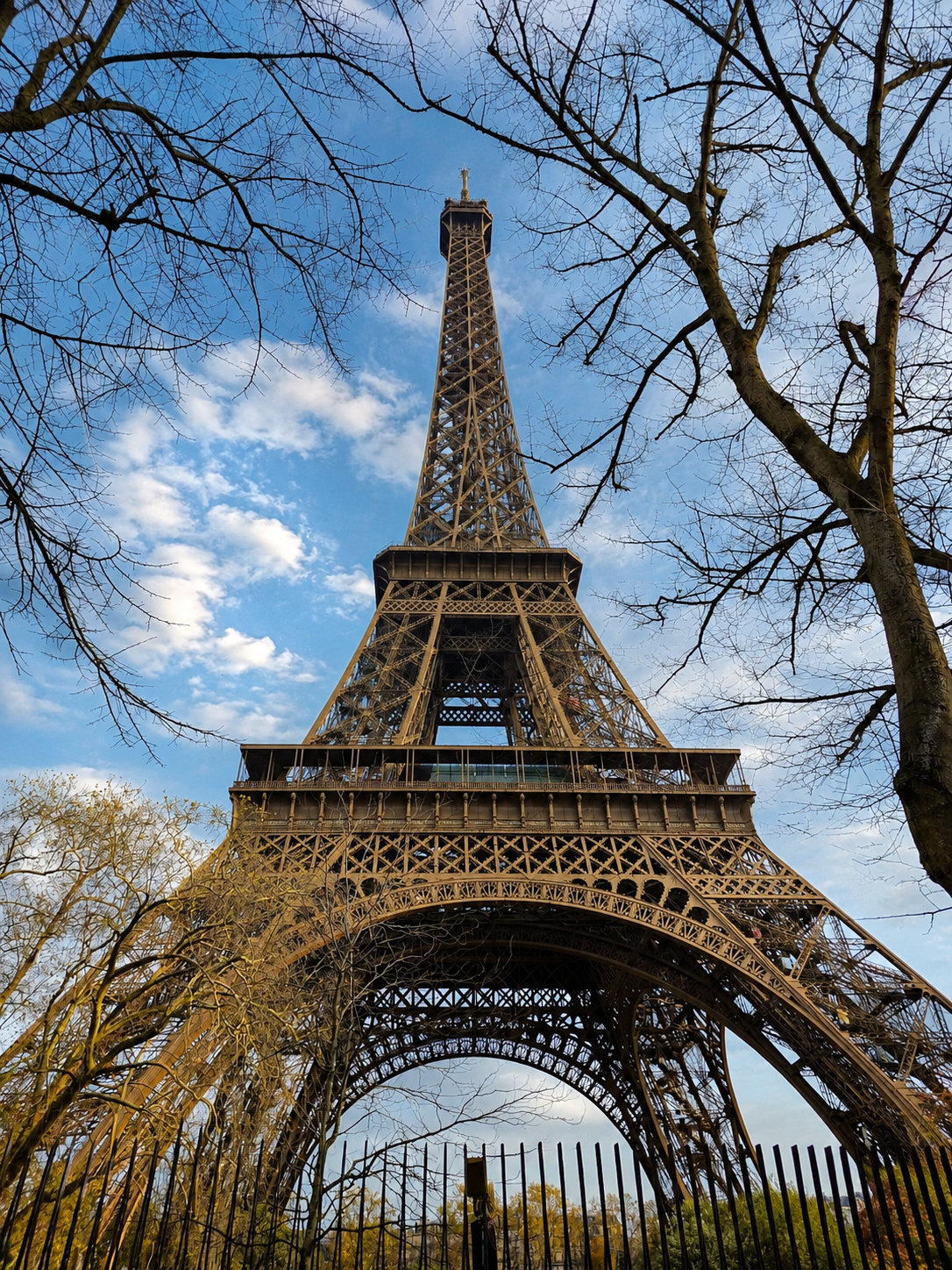 After several visits to Paris, I had finally run out of excuses.
