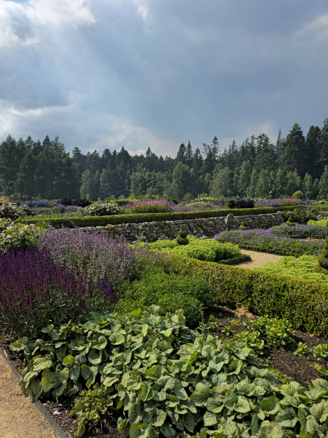 The Sunken Garden, arranged in layers rather than as a single formal display.