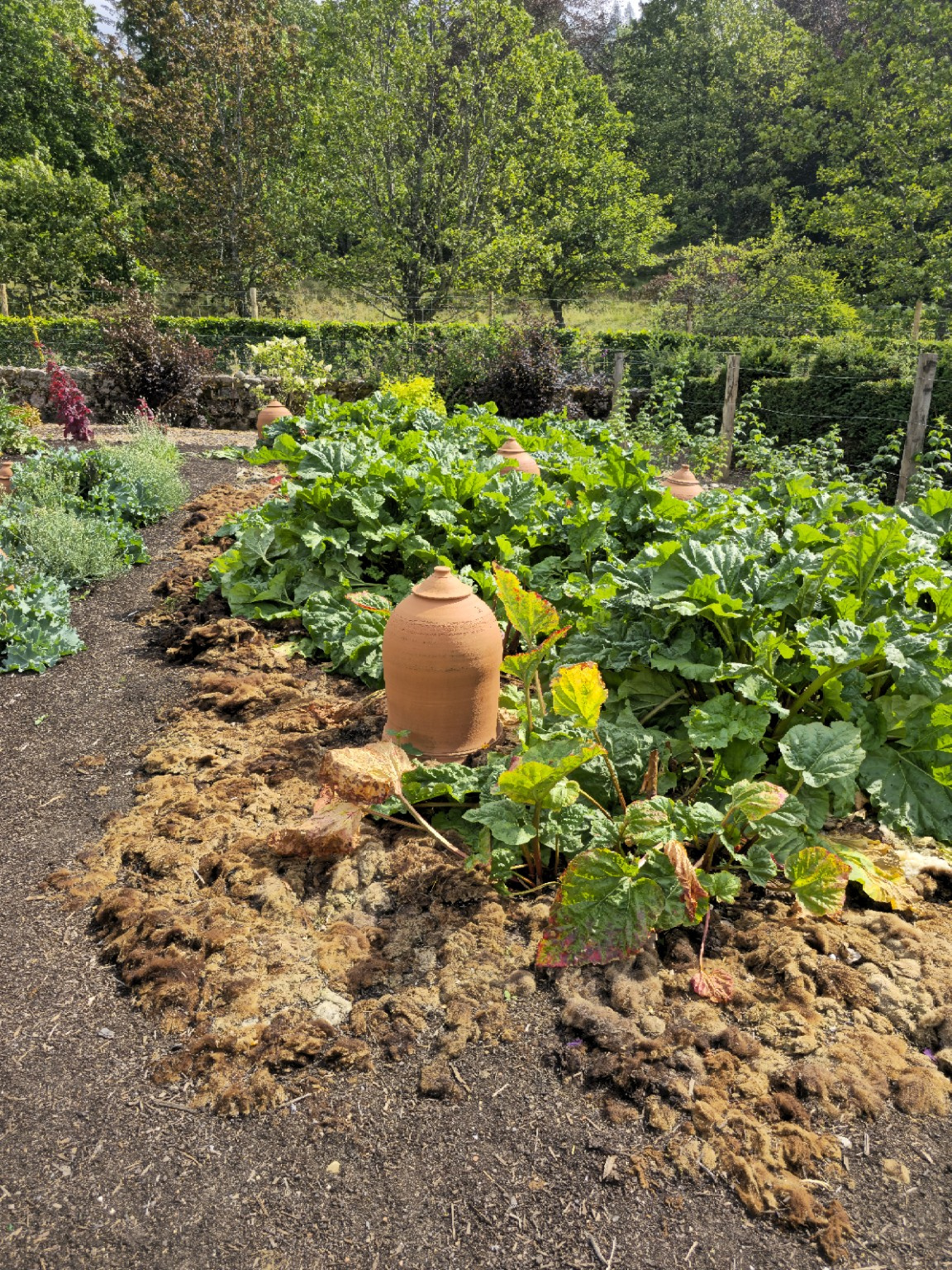 The kitchen garden: less dramatic, but essential to understanding Balmoral as an estate rather than a stage set.