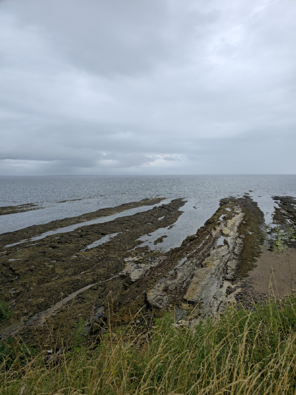 Dark shelves of rock extending into the North Sea, exposed by the retreating tide beneath an appropriately Scottish sky.