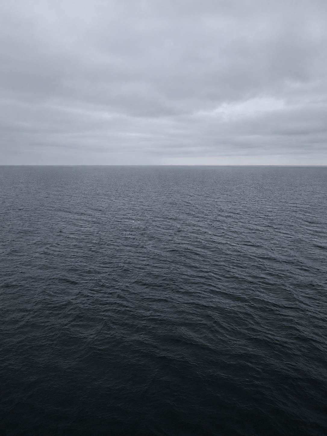 The Baltic in January: no reflections, no drama, just water, sky and several shades of grey.