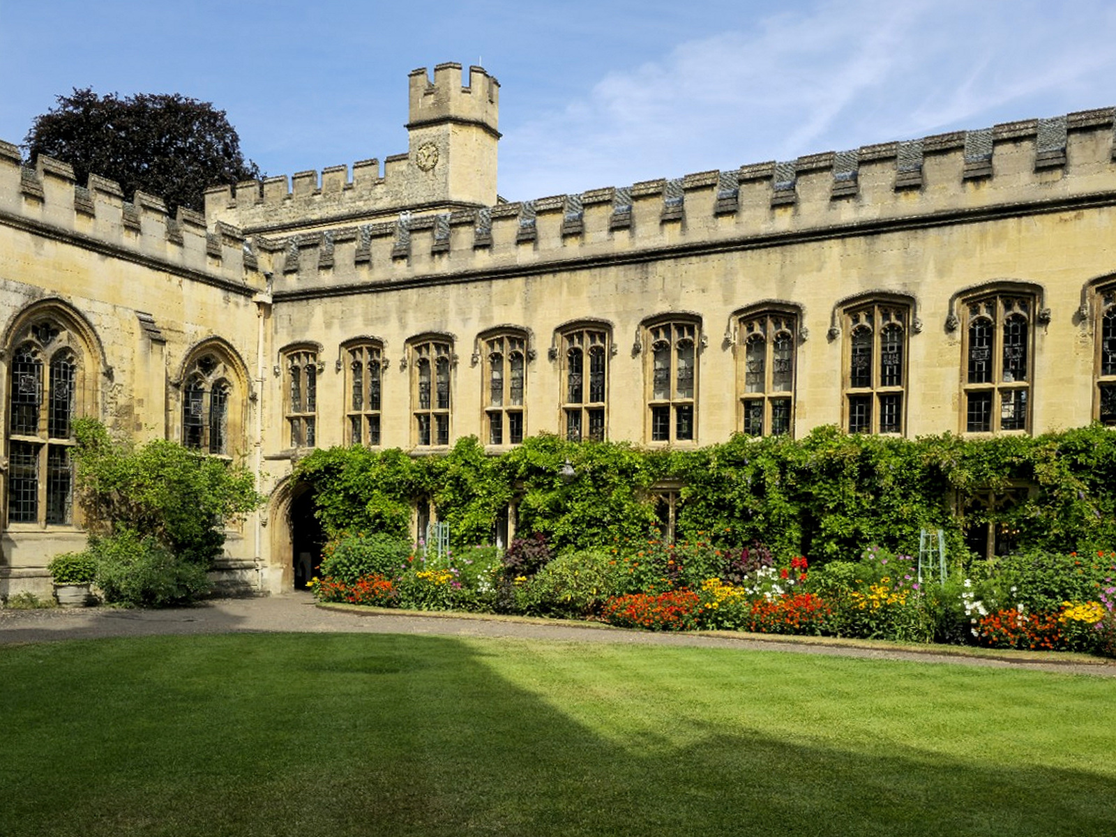 A Missing Tortoise, Fifty-Seven Urine Samples and Oxford’s Ancient College Feud