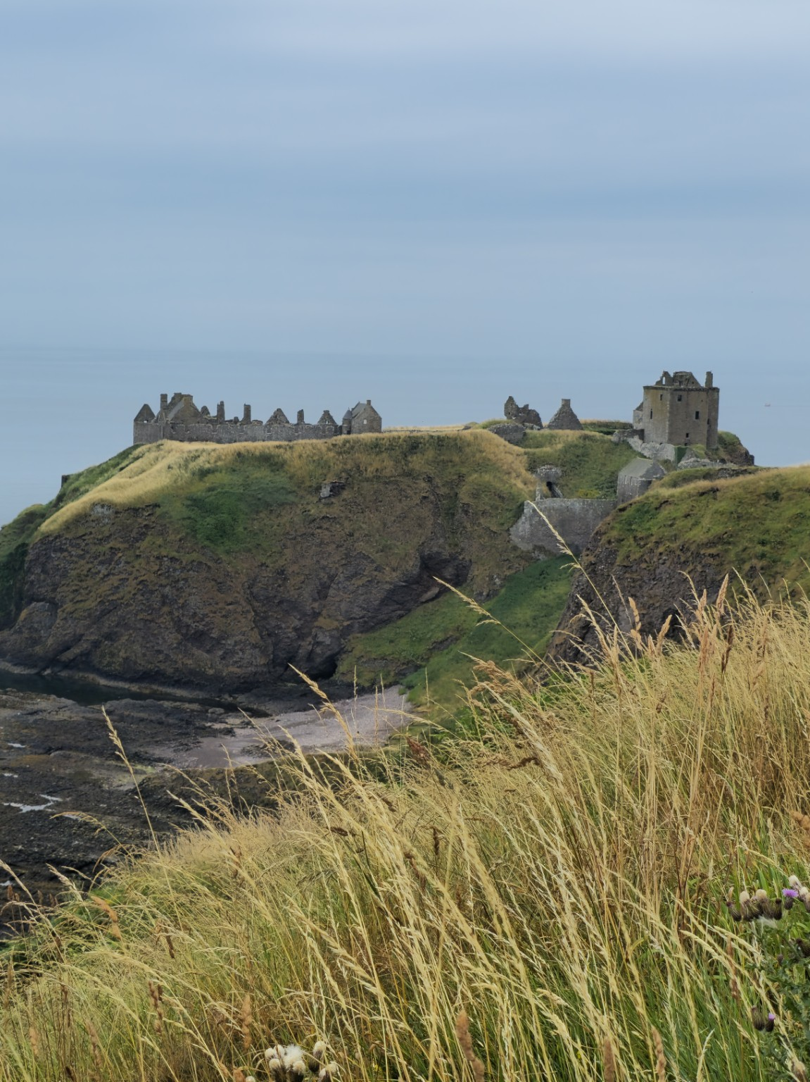 From this side, Dunnottar becomes less a single building than an entire ruined settlement stretched across the headland.