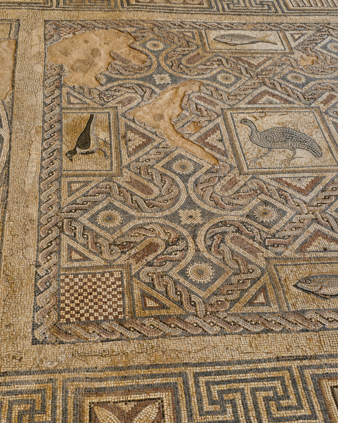 Birds, fish and geometric patterns still surviving in the floor mosaics of ancient Kourion.