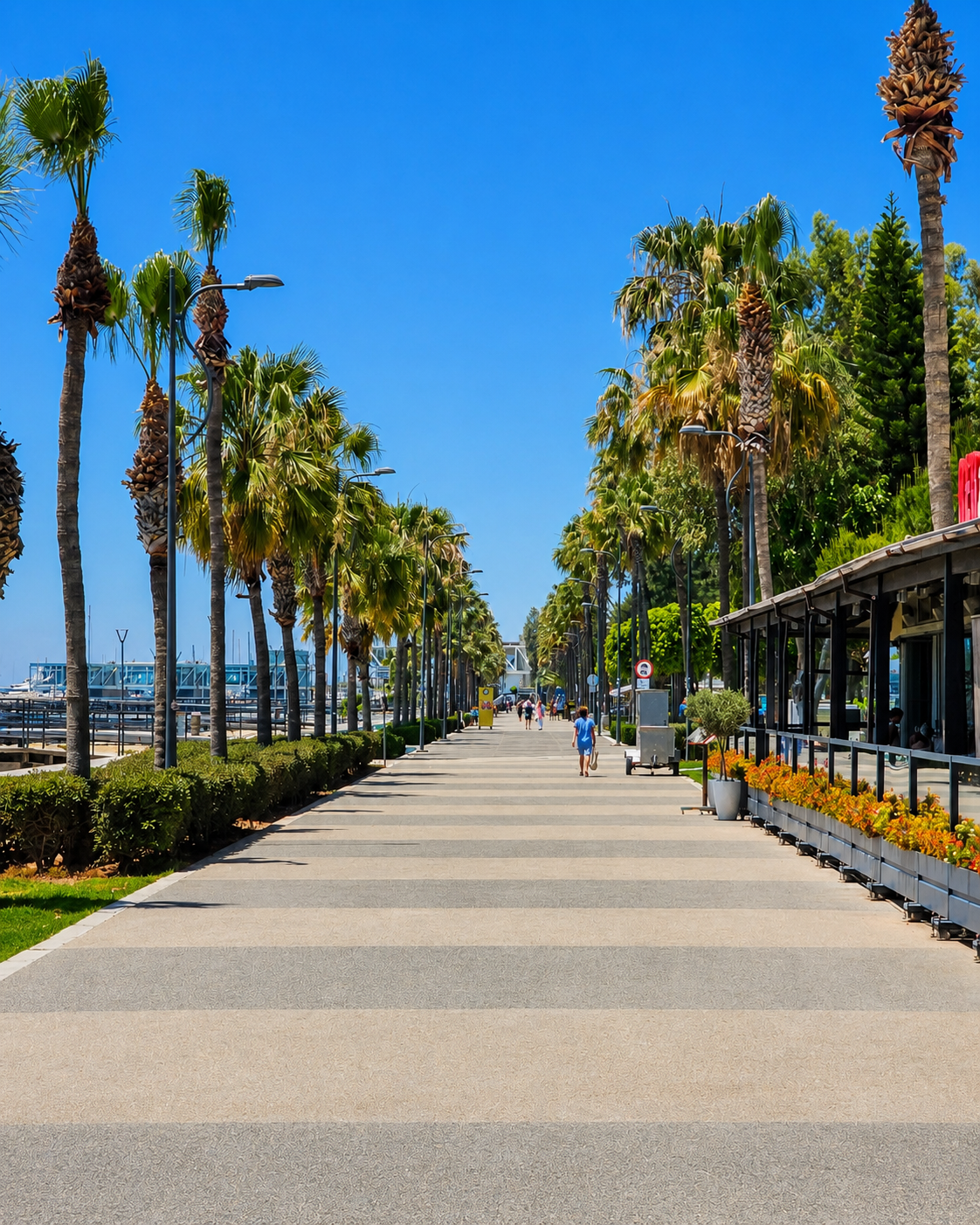 Limassol’s palm-lined Molos promenade, polished enough to make even a simple walk feel carefully staged.