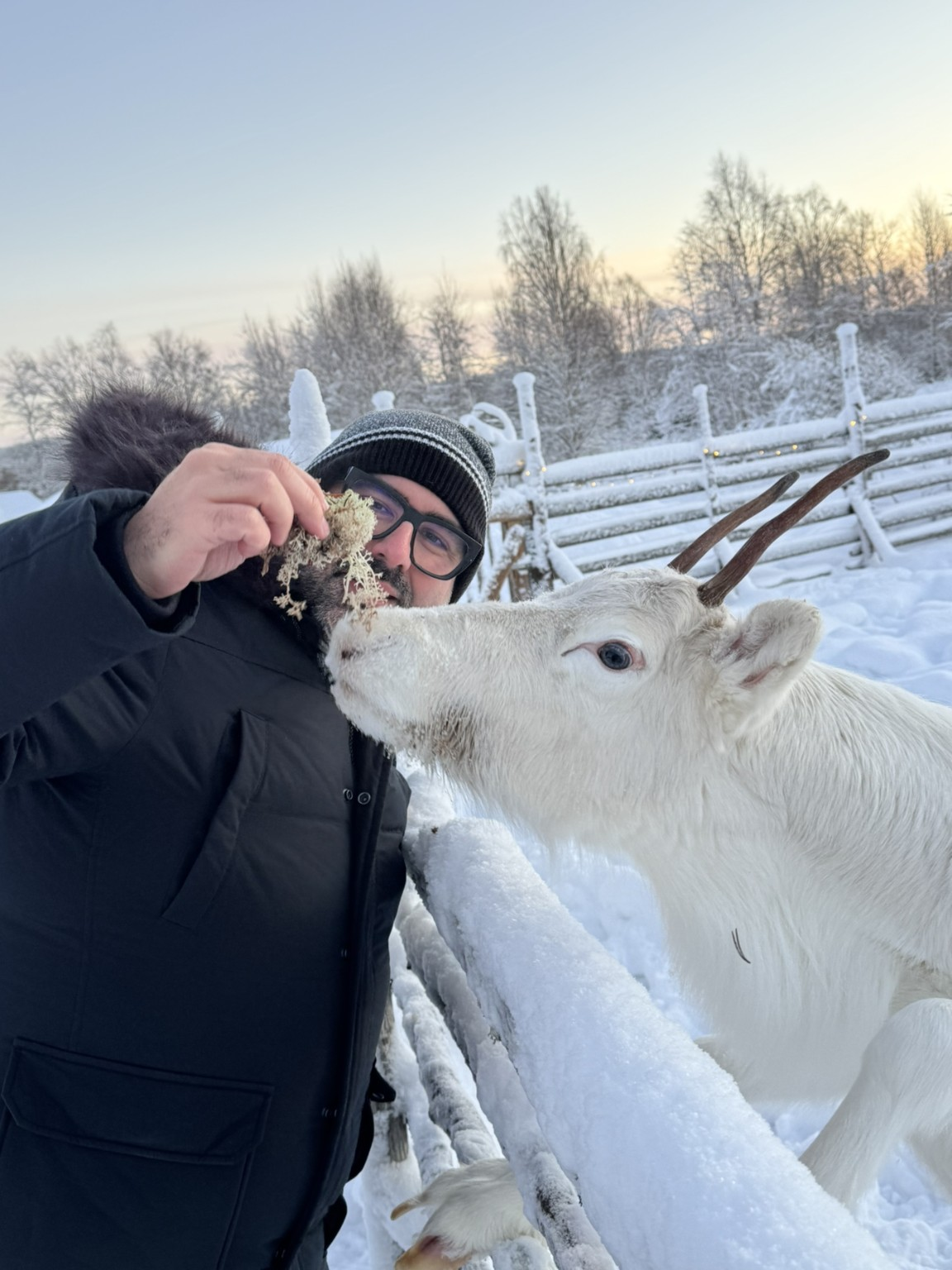 Five euros later, the reindeer and I had reached a commercial agreement.