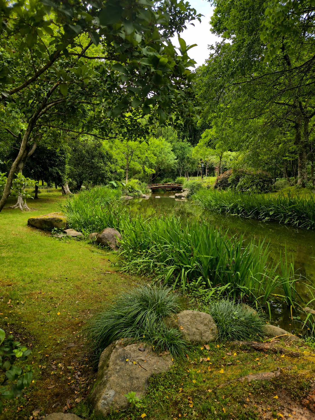 Changqiao Creek Water Ecological Restoration Park