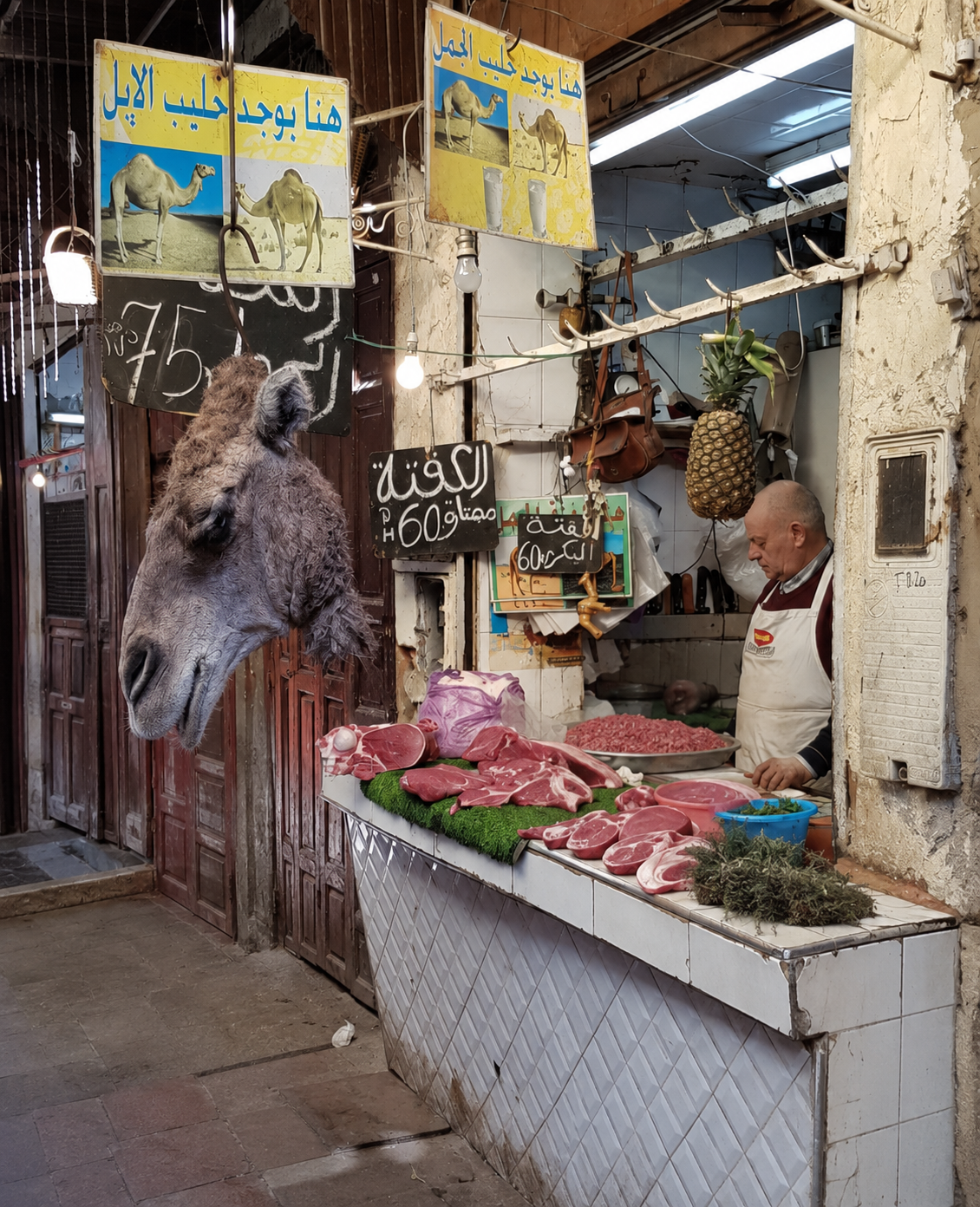 A butcher’s stall in Fes el-Bali — meat, camel heads and everyday commerce displayed with none of the visual distance a European supermarket usually provides.