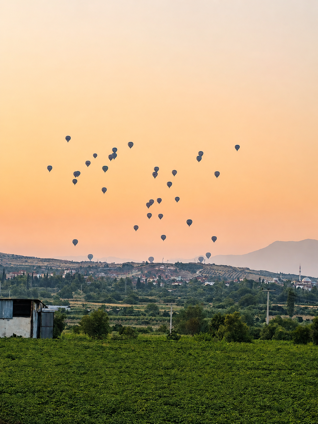 My first surprise of the morning: dozens of hot-air balloons above Pamukkale, where I had not expected to see any at all.