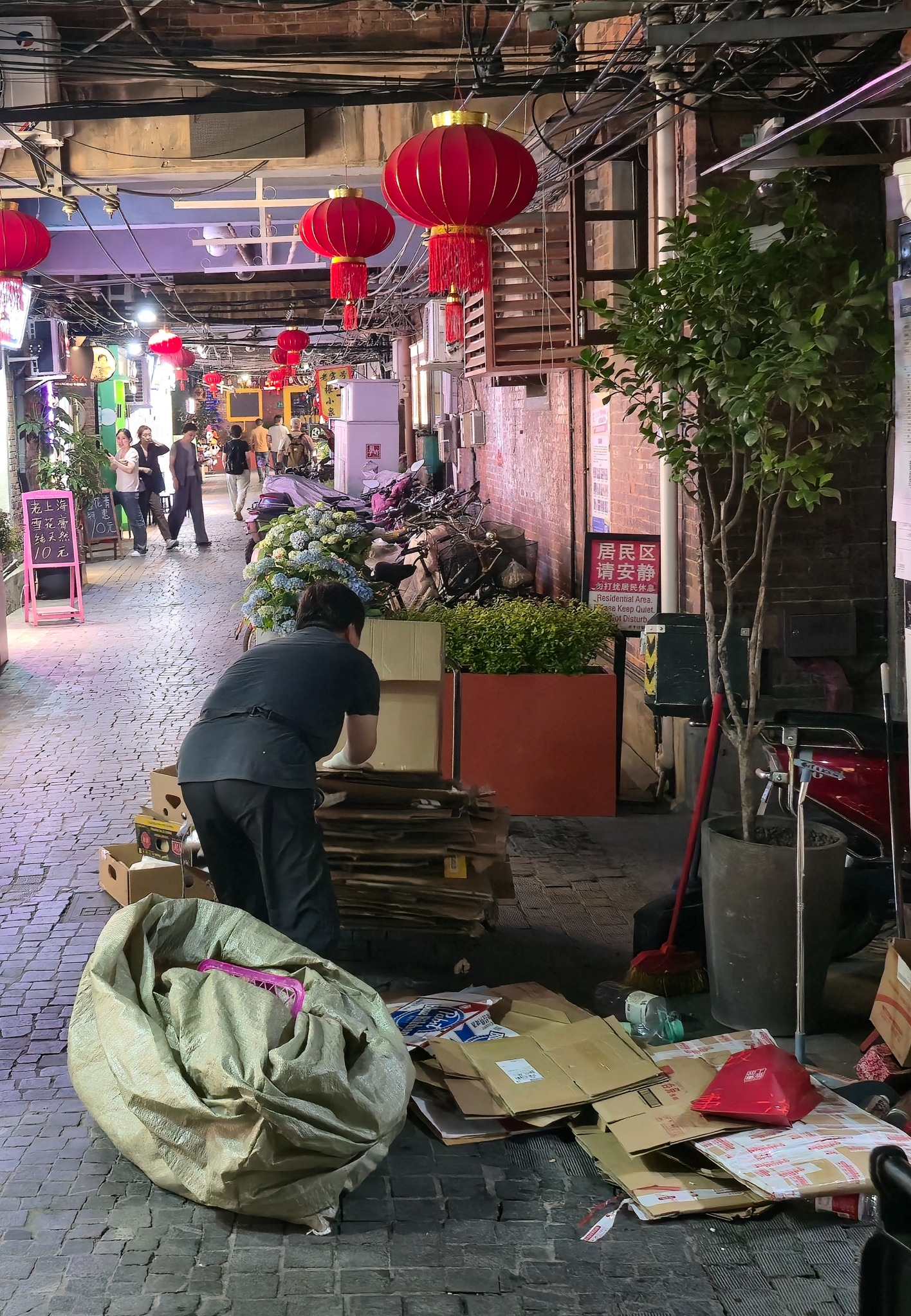 Worker sorts cardboard beside potted plants in a red-lantern-lined shopping alley in Shanghai.